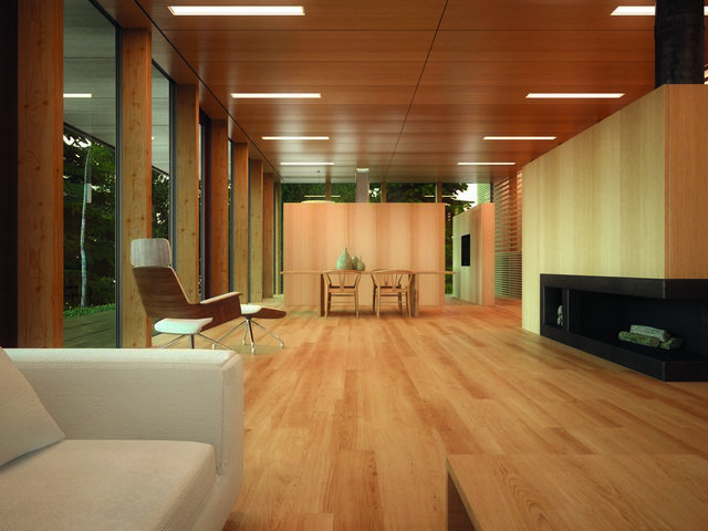 Цветное масло для обработки ADLER Legno-Color 0,75 л